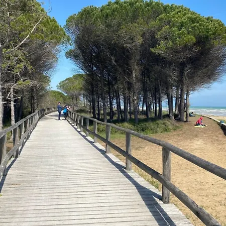 Flat Just 80m From The Lejlighed